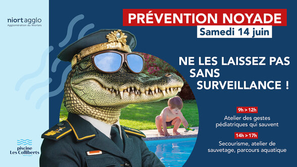  - Agrandir l'image, fenêtre modale